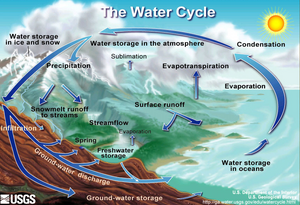 Water cycle.png