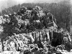Weathered Triassic Hosselkus limestone.jpg