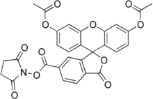 Carboxyfluorescein diacetate succinimidyl ester.png