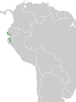 Leptotila ochraceiventris map.svg