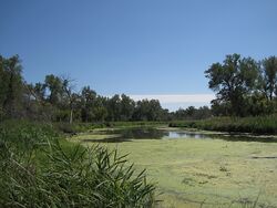 Loup River Slough (7489196746).jpg