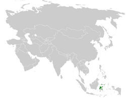 Malia grata distribution map.png