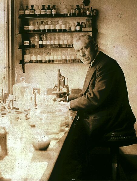 File:Martinus Willem Beijerinck in the lab in 1921.jpg
