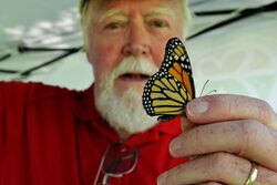 Chip Taylor, Director of Monarch Watch, holding a monarch butterfly