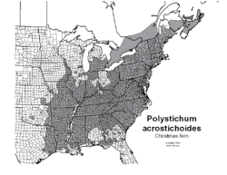 Polystichum acrostichoides map.GIF