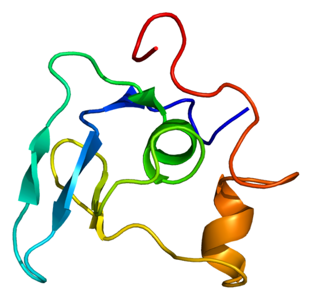 File:Protein FBN1 PDB 1apj.png