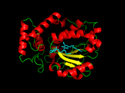 Sec14p Protein Figure.png