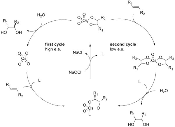 Catalytic cycle of the Sharpless asymmetric dihydroxylation