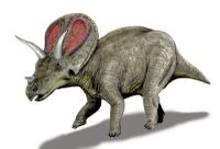 Torosaurus