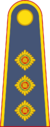 VFMAC Corps of Cadets Second Captain.png