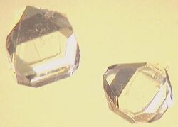 Xylitol crystals.jpg