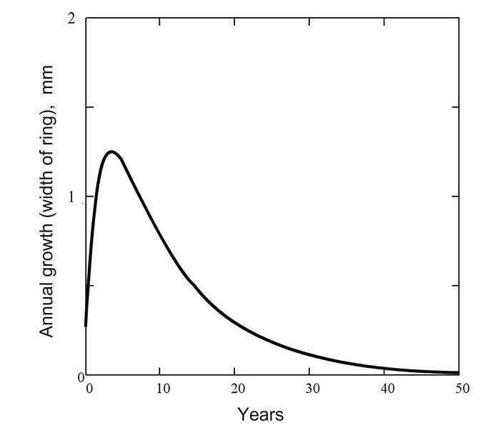 File:Annual growth of the wood (second typical form of the growth function).jpg