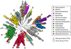 Bacterial OTUs from clone libraries and next-generation sequencing.png