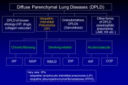 Diffuse Parenchymal Lung Diseases.jpg