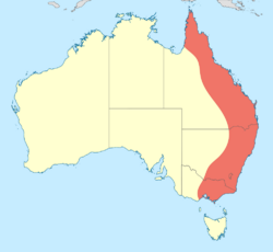 Diphlebia distribution map.svg