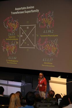 Janet Thornton giving a talk at the European Conference on Computational Biology 2012 in Basel.jpeg