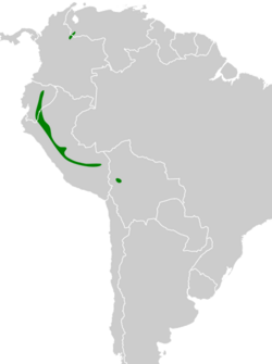 Laniisoma buckleyi map.svg