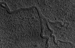 Lyot Crater Channels.jpg