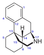 Structural formula of morphinan