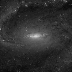 NGC 1255 HST STIS.jpg