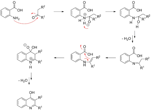 A possible mechanism of the Niementowski quinoline synthesis.