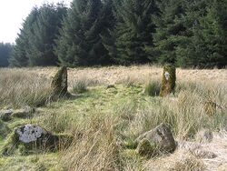 Nine Stones Stone Circle - geograph.org.uk - 378417.jpg