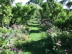 Orchard garden at Hergest Croft.JPG