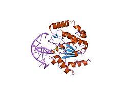 PDB 1emh EBI.jpg