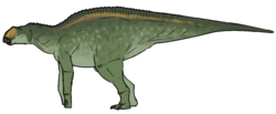 Secernosaurus koerneri.png