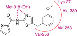 Substance 14 in its binding site.svg