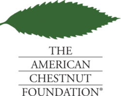 The American Chestnut Foundation logo.png