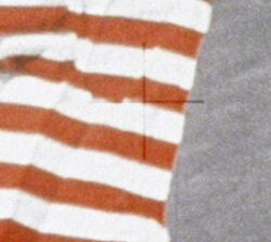 Apollo 15 flag crop.jpg