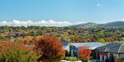 Autumn in Canberra.jpg