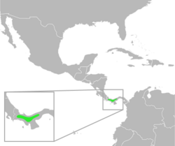 Bufo signifer distribution.svg