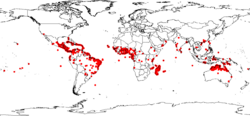 Crotalaria retusa DistributionMap.png