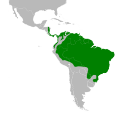 Dacnis cayana map.svg