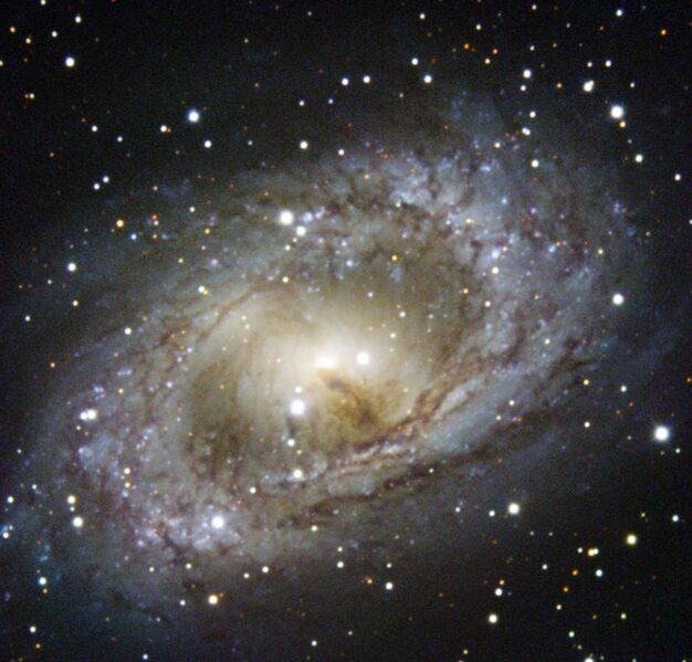 File:ESO’s New Technology Telescope Revisits NGC 6300.jpg