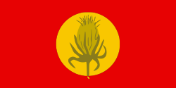 Flag of Vevčani Municipality, North Macedonia.svg