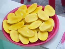 MANGO SEASON (562892060).jpg