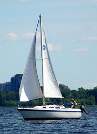 O'Day 25 sailboat Luff Affair 2612.jpg