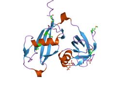 PDB 1qcs EBI.jpg