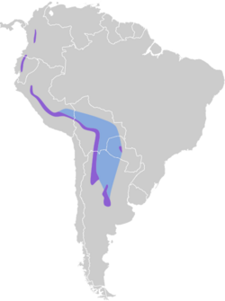 Pseudocolopteryx acutipennis map.svg