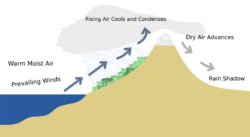 Simplified example of the rain shadow effect