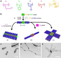 Supramolecular assembly of micelles4.jpg