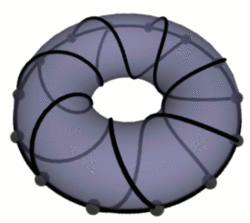 Toroidal graph sample.gif