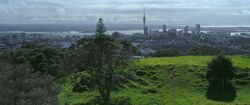 View of Auckland from outside city.jpg