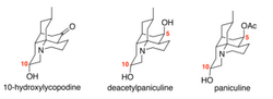 10-hydroxy lycopodium alkaliods.PNG