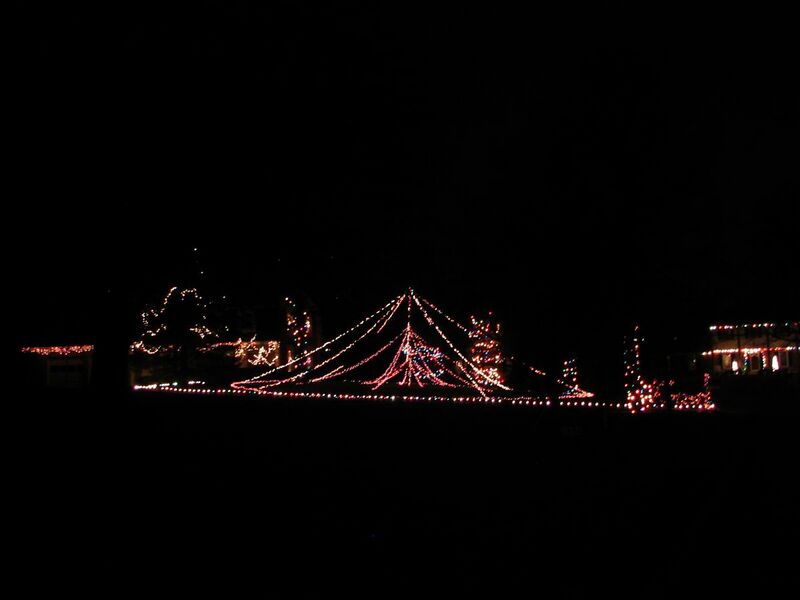 File:2006 outdoor Christmas light display in Cincinnati OH.jpg