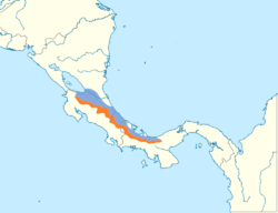 Cephalopterus glabricollis map.svg