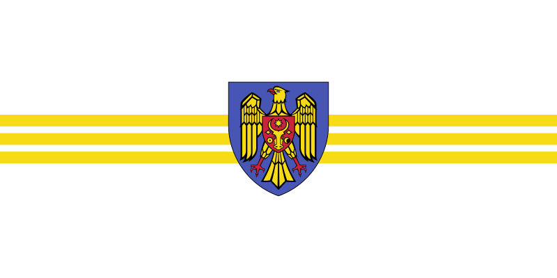 File:Flag of Chișinău.svg